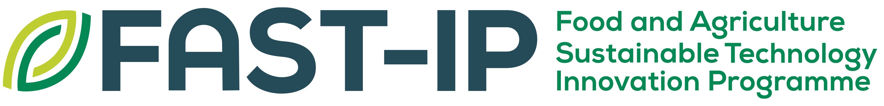 FAST-IP Logo